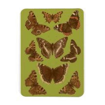 Imán de las mariposas y de las polillas del vintag