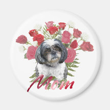 Imán de los rosas de Shih Tzu