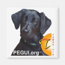 Imán de PEGUI