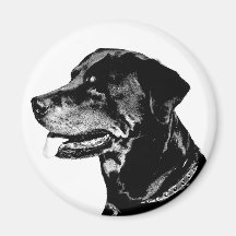Imán de Rottweiler