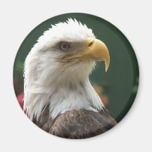 imán del águila
