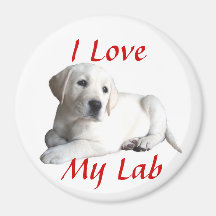 Imán del amor del labrador retriever
