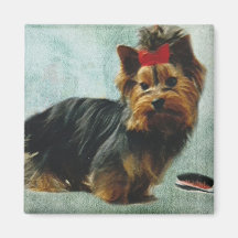Imán del arte del perrito de Yorkie