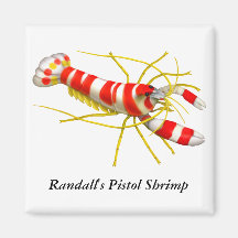 Imán del camarón de la pistola de Randall