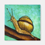 Imán del caracol 1