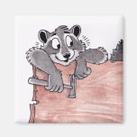Imán del carpintero del mapache