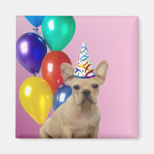 Imán del dogo francés de Birthay