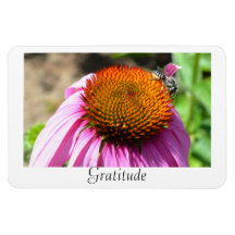 Imán del Echinacea de la gratitud