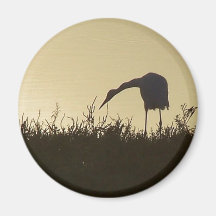 Imán del Egret