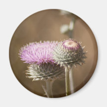 Imán del flor del cardo