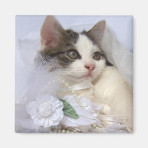 Imán del gatito del boda