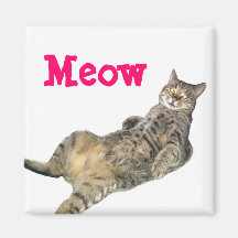 Imán del gato
