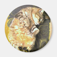 Imán del gato de la exposición meridional