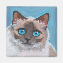 Imán del gato v.02 de Ragdoll del punto del sello