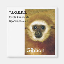 Imán del Gibbon - T.I.G.E.R.S. Myrtle Beach, SC