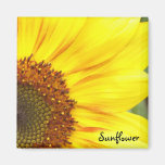 Imán del girasol