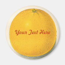 Imán del naranja del vintage