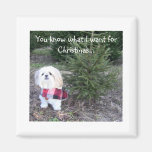 Imán del navidad con el perro de Shihtzu