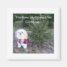 Imán del navidad con el perro de Shihtzu