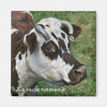 imán del normande del vache