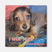 ¡Imán del perrito de TatianaTheDog - I WUV USTED!