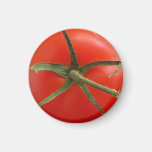 Imán del refrigerador del tomate