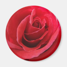 Imán del rosa rojo