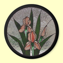 Imán del vitral del iris imanes