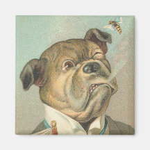 Imán divertido del dogo del vintage