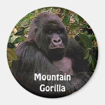 Imán en peligro del arte de los grandes monos del 