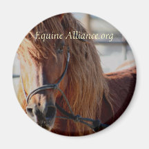 Imán equino de Alliance