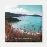 Imán - escena #7 de la costa de Mendocino