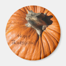 Imán feliz de la calabaza de la acción de gracias