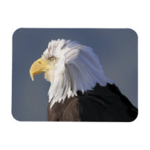 Imán flexible de Eagle