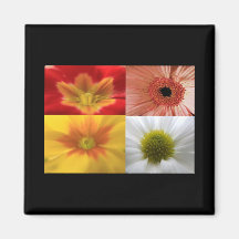 Imán floral del collage