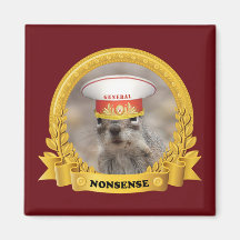 Imán general del absurdo