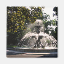 Imán inglés de la fuente del jardín de Ginebra