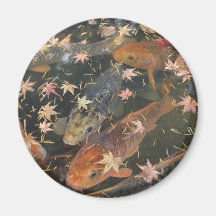 Imán: Koi con las hojas de otoño