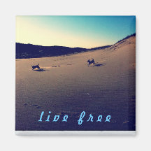 Imán "libre" vivo