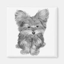 Imán lindo del cuadrado del perro de Yorkie