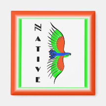 IMÁN NATIVO DE THUNDERBIRD