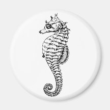 Imán negro del Seahorse