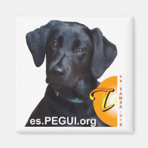 Imán PEGUI