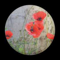 Imán rojo de las amapolas de maíz de campo imanes