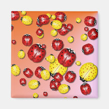 Imán rojo y amarillo de los insectos