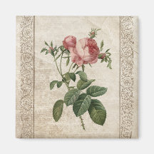 Imán rosado de los rosas del vintage