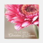 Imán rosado del boda del gerbera