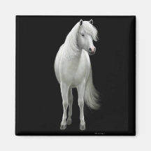 Imán salvaje del caballo blanco