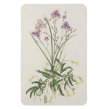 Imán superior de Flexi de los Wildflowers del vint