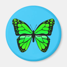 Imán verde de la mariposa